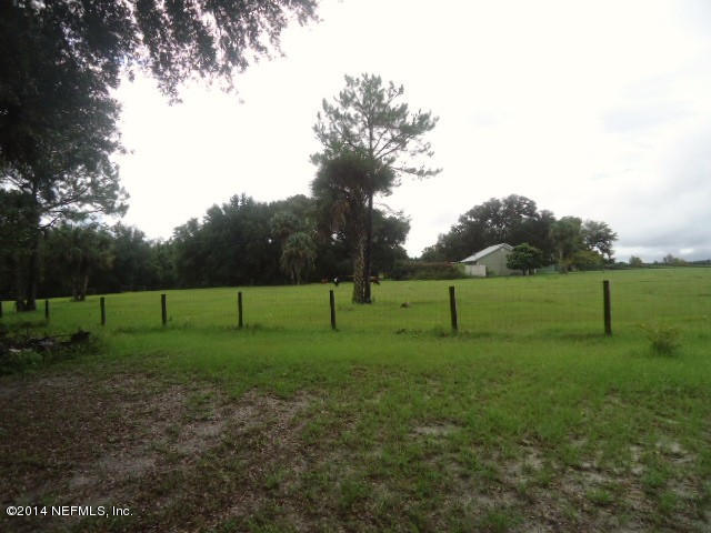 113 Rhododendron Lane Interlachen, FL 32148 - Photo 14 of 14 Friendly cows for neighbors