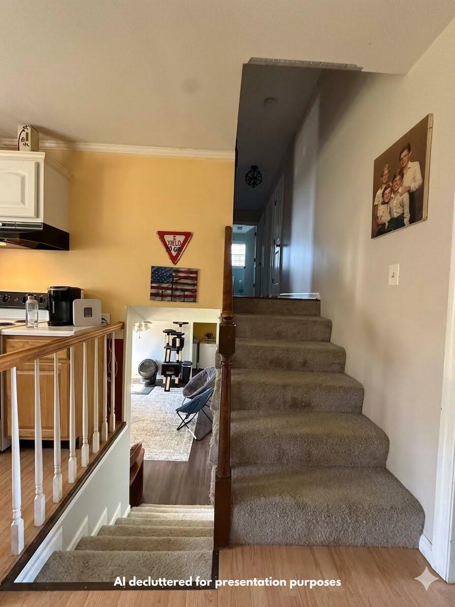 531 Springhill Road Danville, KY 40422 - Photo 9 of 21 Stairs to Upper and Lower Levels