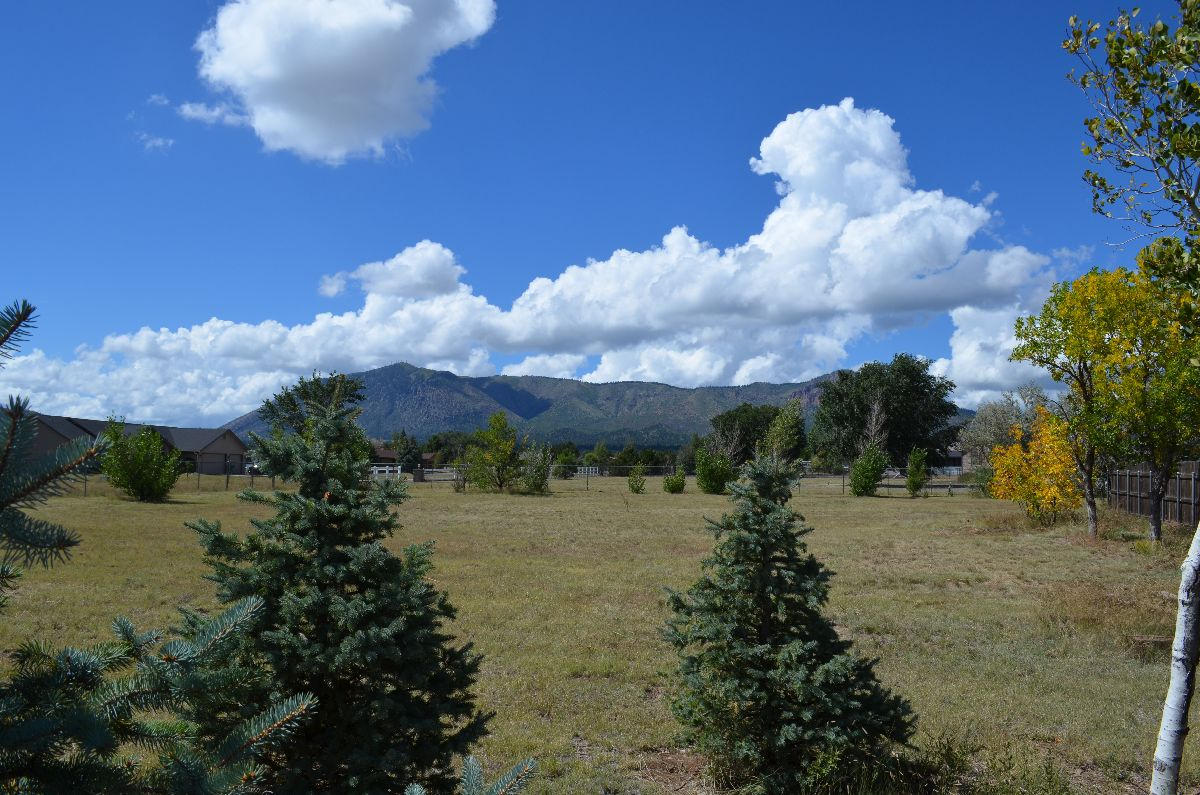 8770 Koch Field Road Flagstaff, AZ 86004 - Photo 27 of 63 koch 032