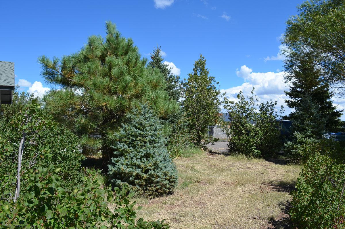 8770 Koch Field Road Flagstaff, AZ 86004 - Photo 28 of 63 koch 033