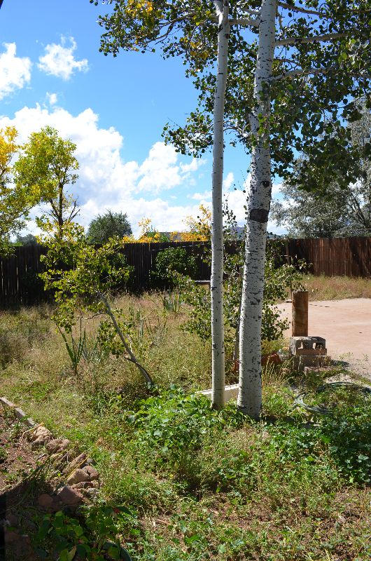8770 Koch Field Road Flagstaff, AZ 86004 - Photo 32 of 63 koch 038