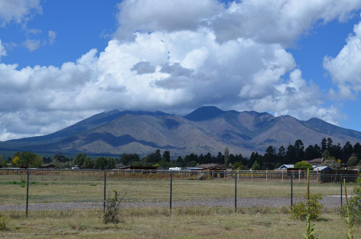 8770 Koch Field Road Flagstaff, AZ 86004 - Photo 45 of 63 koch 051