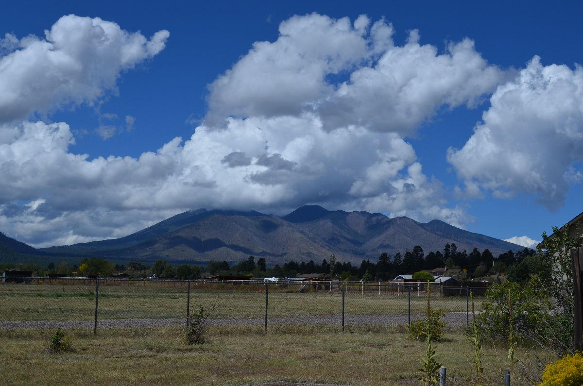 8770 Koch Field Road Flagstaff, AZ 86004 - Photo 46 of 63 koch 052