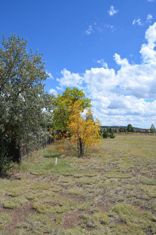 8770 Koch Field Road Flagstaff, AZ 86004 - Photo 48 of 63 koch 054