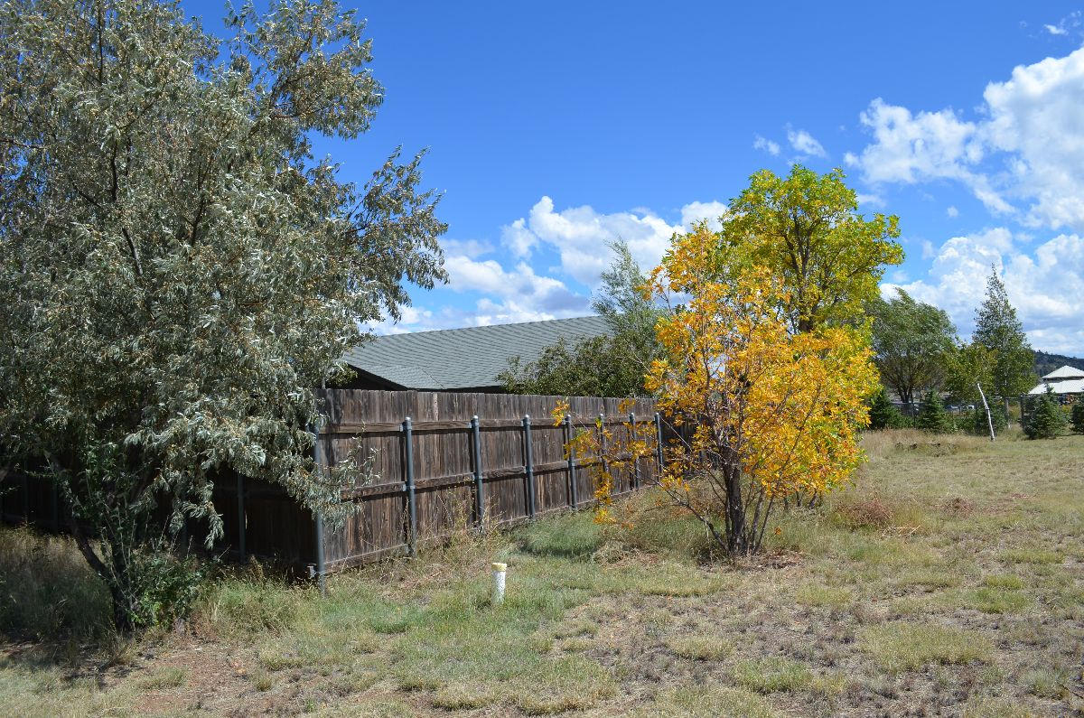 8770 Koch Field Road Flagstaff, AZ 86004 - Photo 50 of 63 koch 056