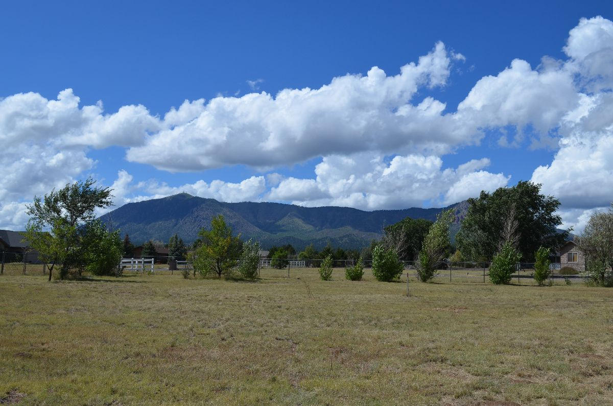 8770 Koch Field Road Flagstaff, AZ 86004 - Photo 54 of 63 koch 061