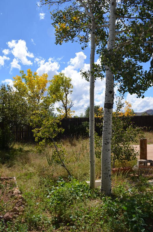 8770 Koch Field Road Flagstaff, AZ 86004 - Photo 61 of 63 koch 069