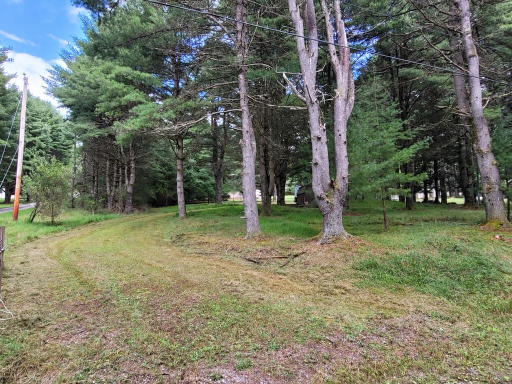 3246 Cherry Run Road Clarington, PA 15828 - Photo 2 of 7 Gallery Image 2