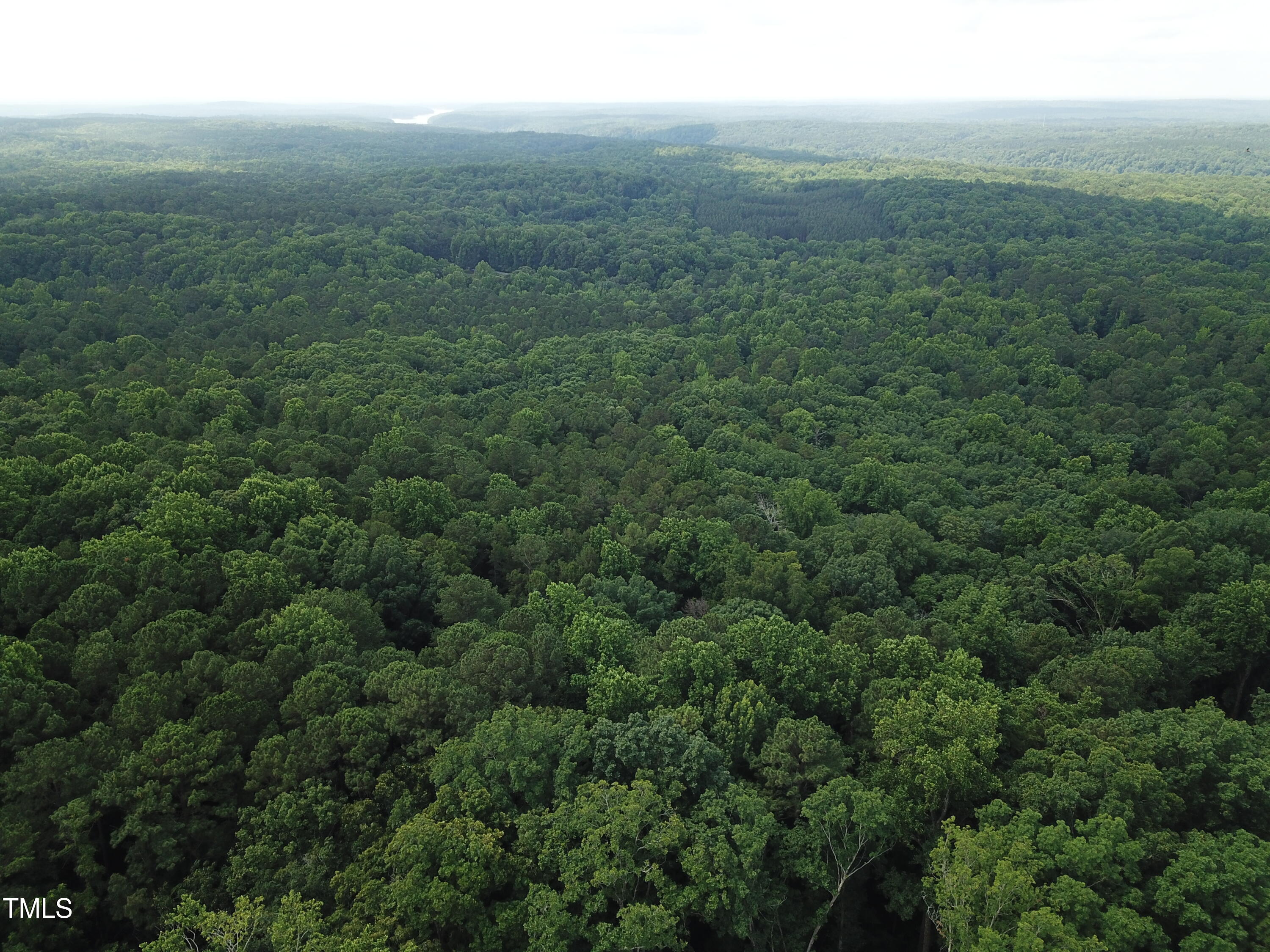 0 Redgate Road Pittsboro, NC 27312 - Photo 3 of 8 a view of a city with lush green forest