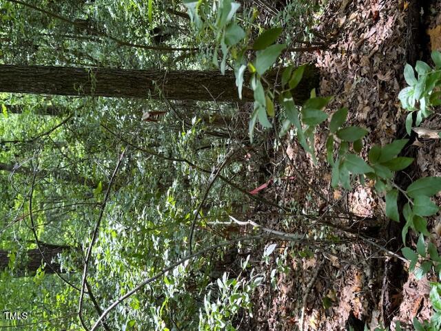 0 Redgate Road Pittsboro, NC 27312 - Photo 6 of 8 a plant view