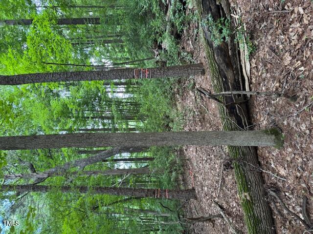 0 Redgate Road Pittsboro, NC 27312 - Photo 7 of 8