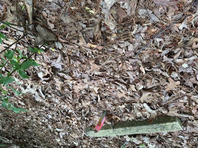 0 Redgate Road Pittsboro, NC 27312 - Photo 8 of 8 a view of a tree