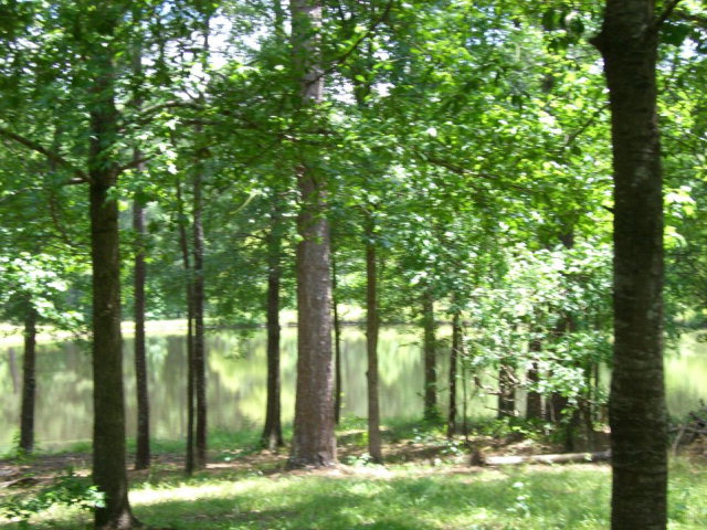 720 Turner Woods Road Gray, GA 31032 - Photo 21 of 22 a backyard of a house with lots of green space and fountain