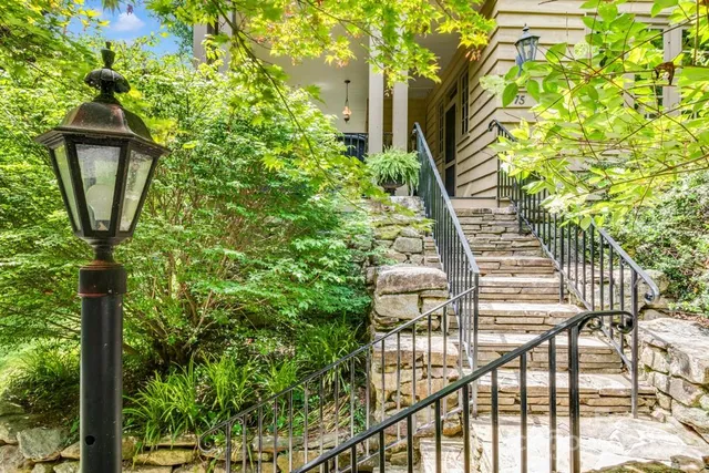 a view of a yard with plants and large tree