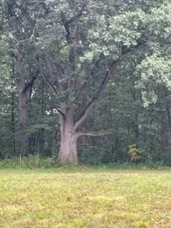 a view of a indoor swimming pool