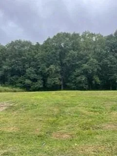 a view of an ocean from a yard