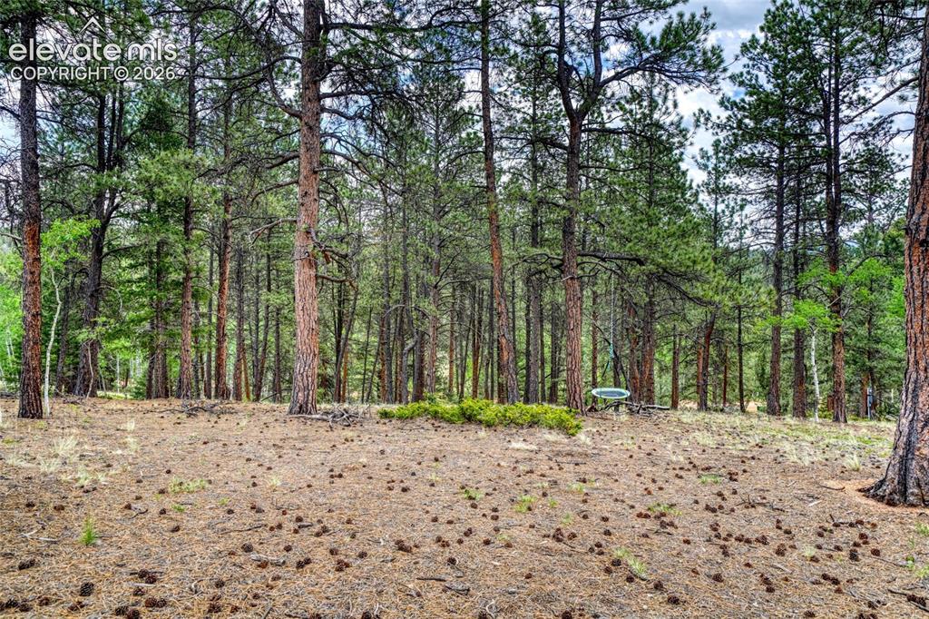 2927 Pathfinder Road Florissant, CO 80816 - Photo 31 of 37