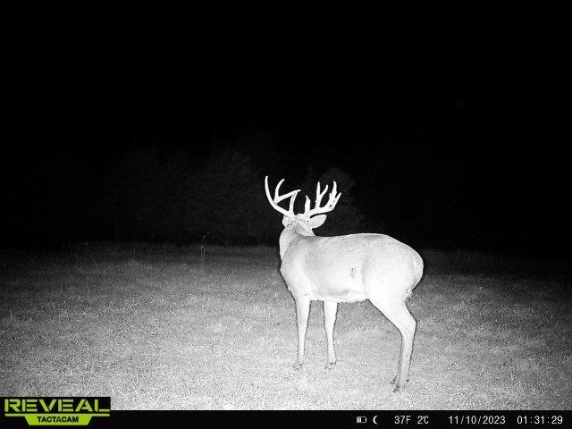 6910 Us Rte 20 West Galena, IL 61036 - Photo 92 of 95 Gallery Image 92