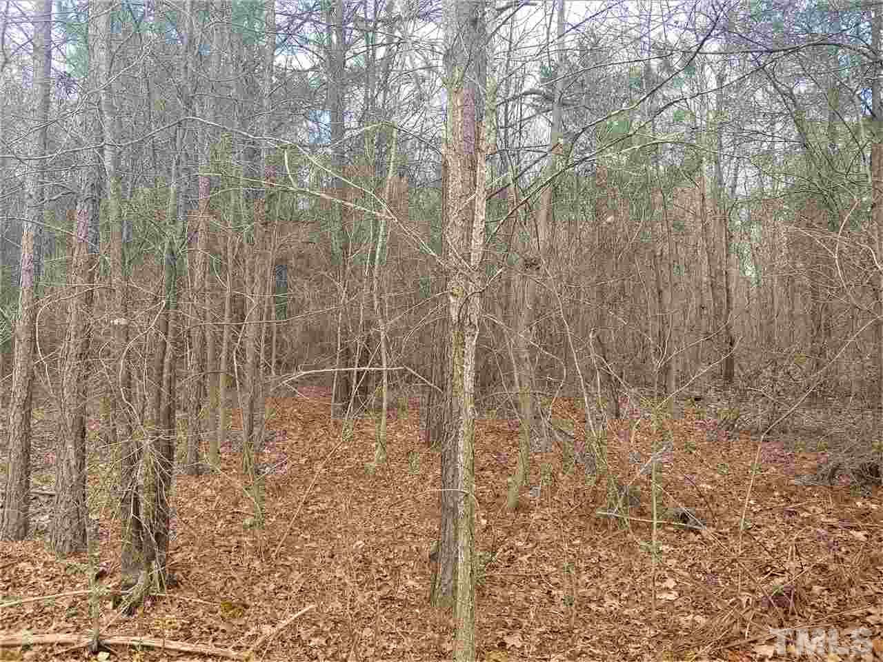 1032 Glovers Church Road Bennett, NC 27208 - Photo 10 of 12 Gallery Image 10