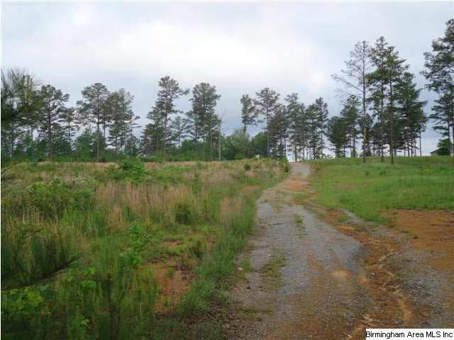 Mayo Road, Unit 96 Altoona, AL 35952 - Photo 6 of 23