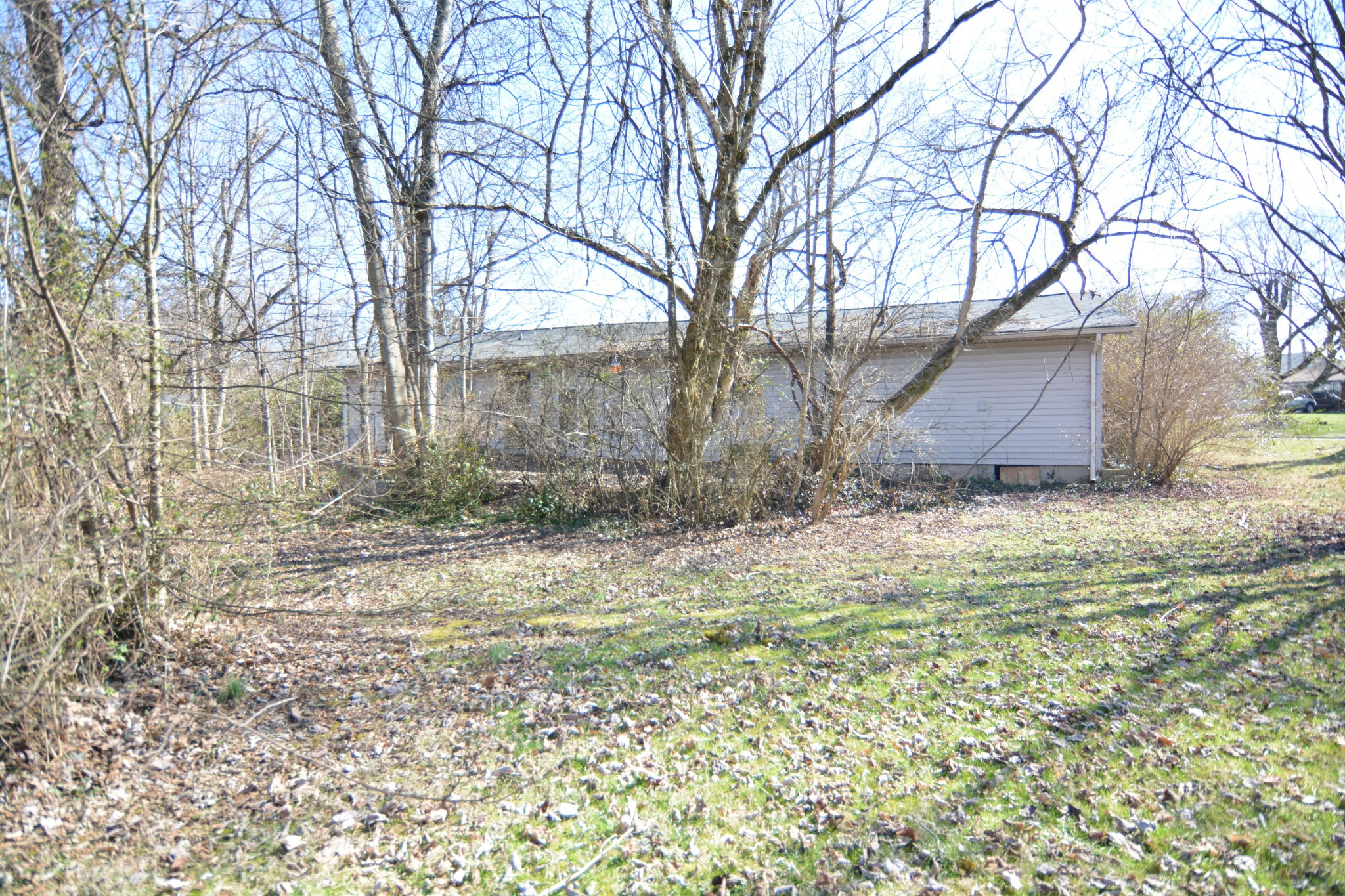 3021 Walridge Road Knoxville, TN 37921 - Photo 29 of 32 Gallery Image 29