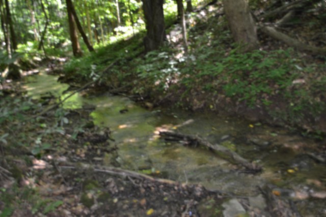 0 Pea Ridge Fire Tower Road Celina, TN 38551 - Photo 21 of 53