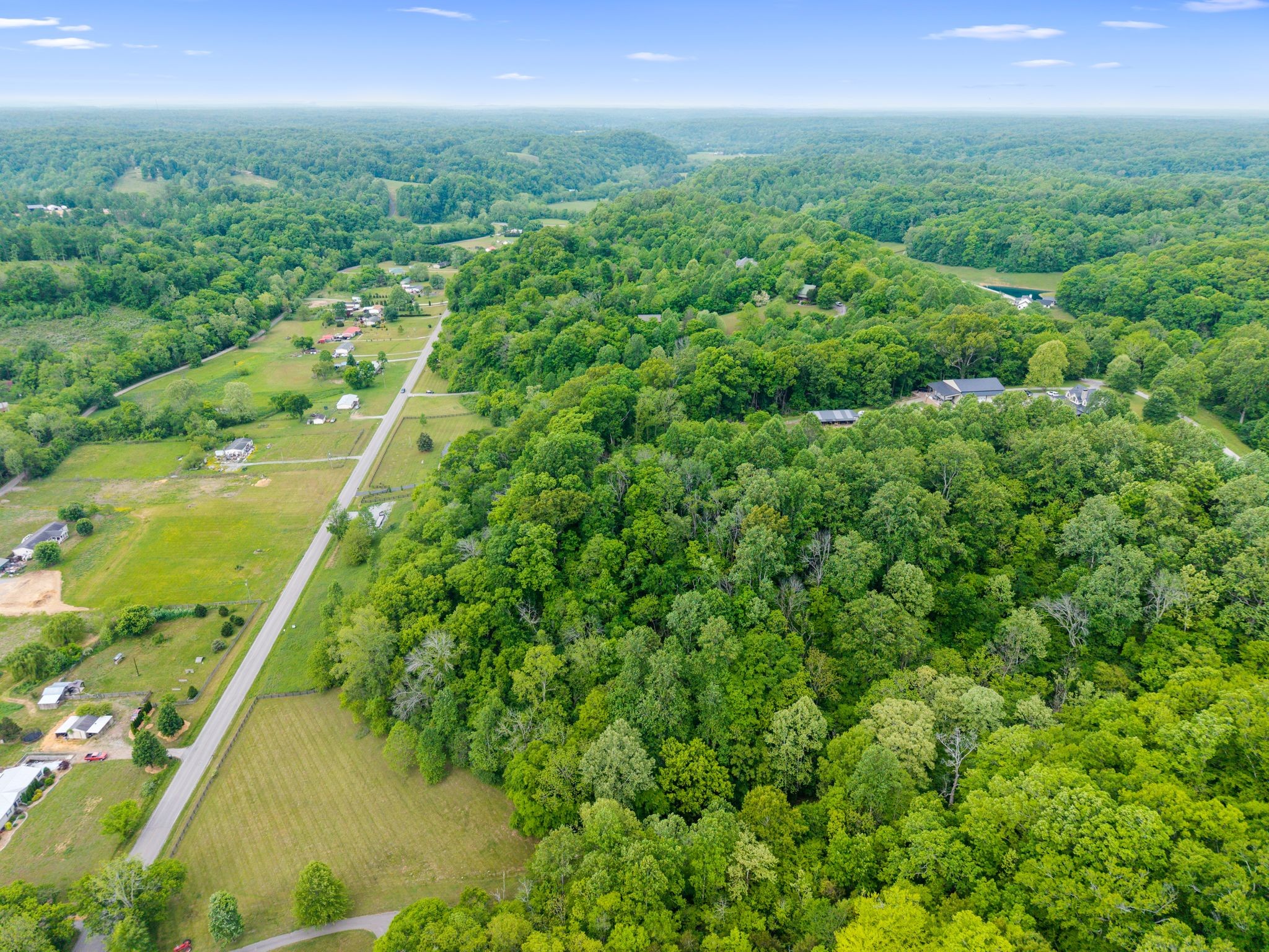 0 Leipers Creek Road Columbia, TN 38401 - Photo 15 of 24 a view of a yard with a garden