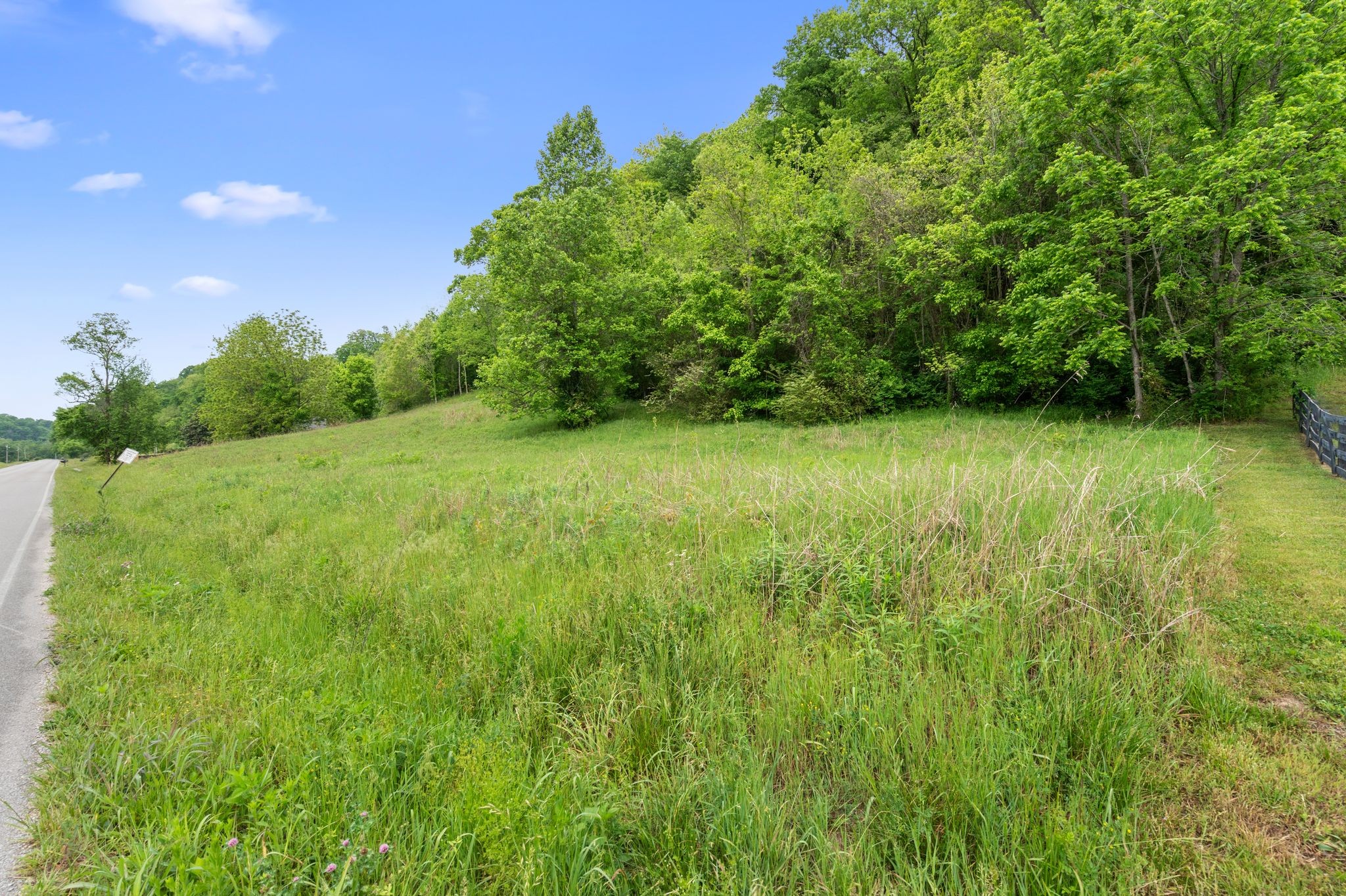 0 Leipers Creek Road Columbia, TN 38401 - Photo 21 of 24 a view of a lush green space