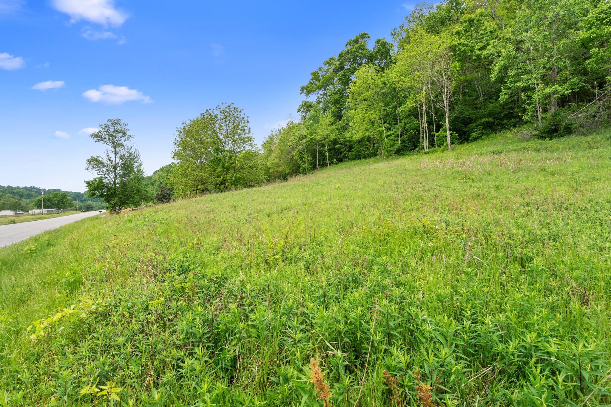 0 Leipers Creek Road Columbia, TN 38401 - Photo 22 of 24 a view of a field with a tree in the background