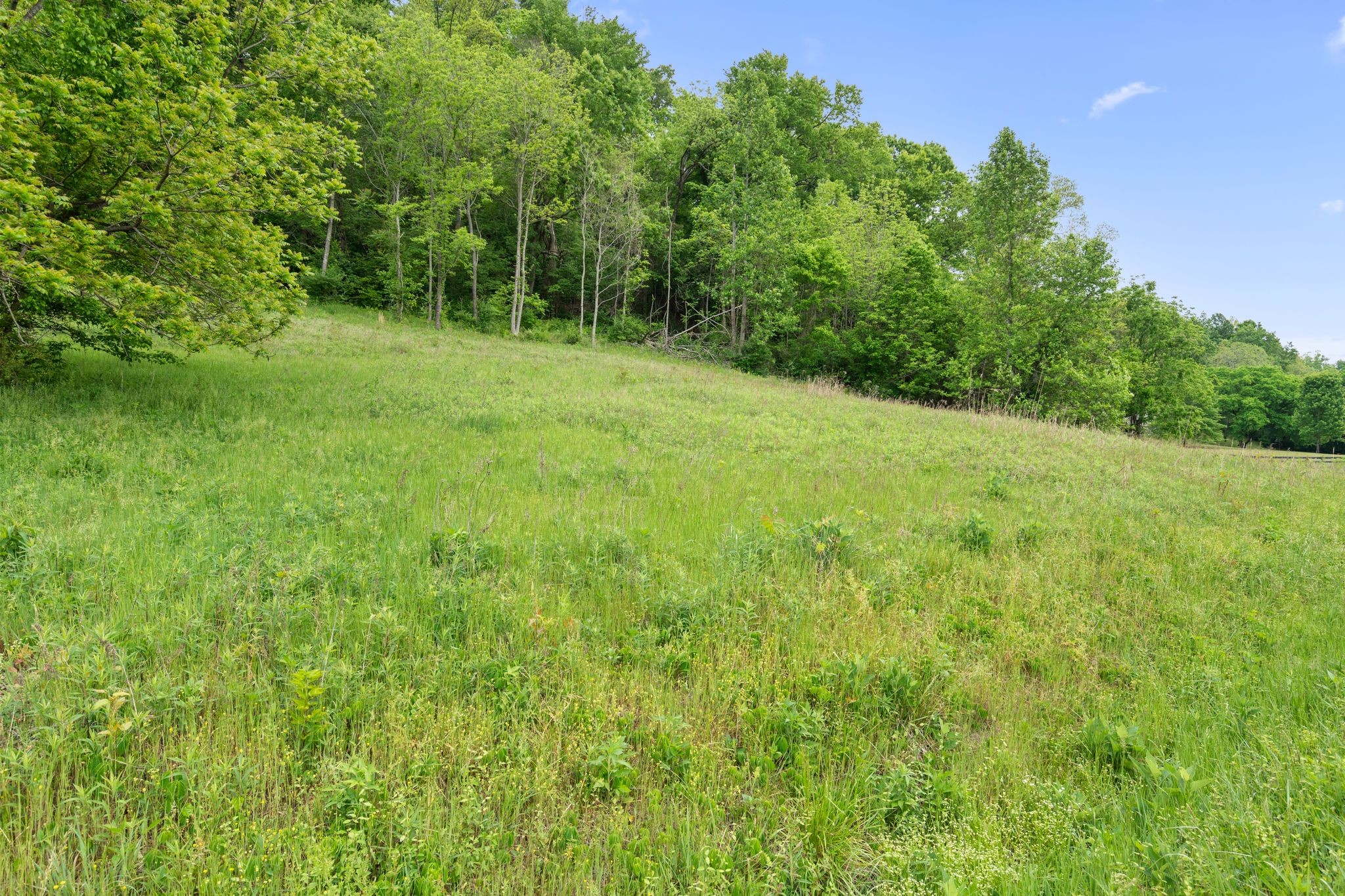 0 Leipers Creek Road Columbia, TN 38401 - Photo 23 of 24 a view of an outdoor space with a lake view