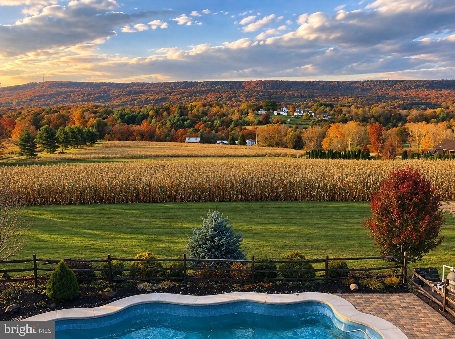 The view of your future back yard.