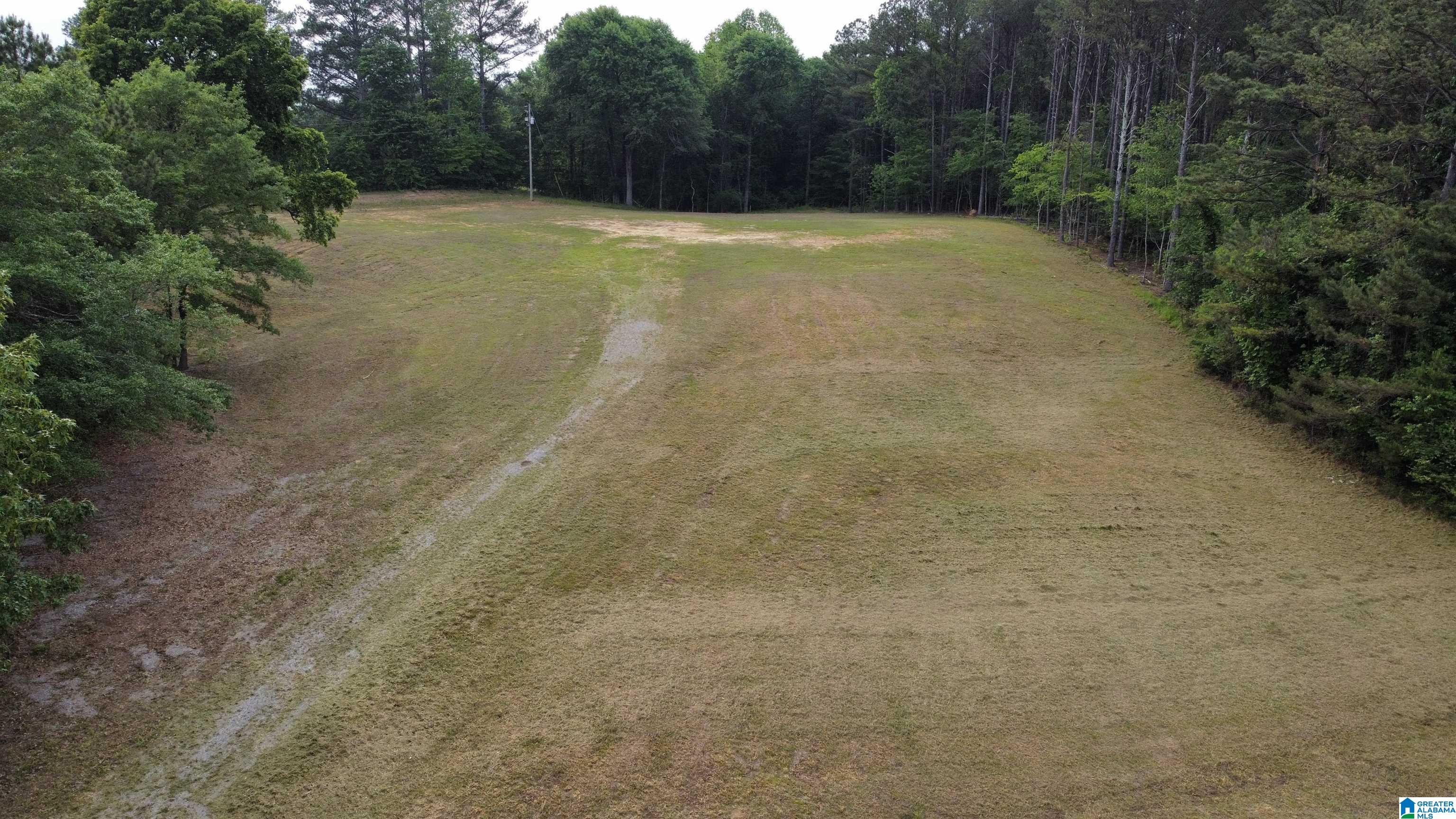 22909 Highway 195 Double Springs, AL 35553 - Photo 4 of 19