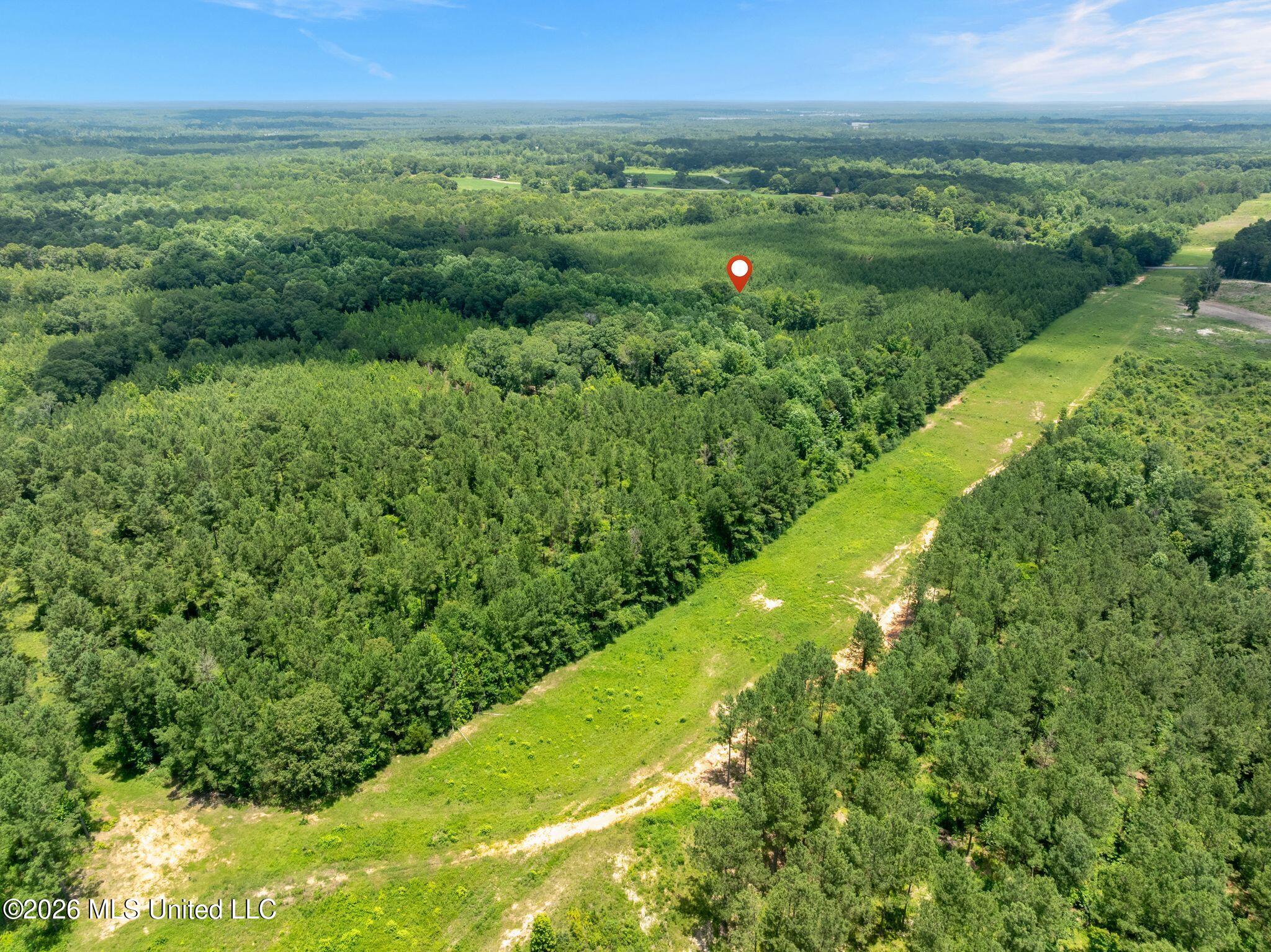 31-acres Ridgeland Road Bassfield, MS 39421 - Photo 24 of 27 85_Ridgeland_Rd-24