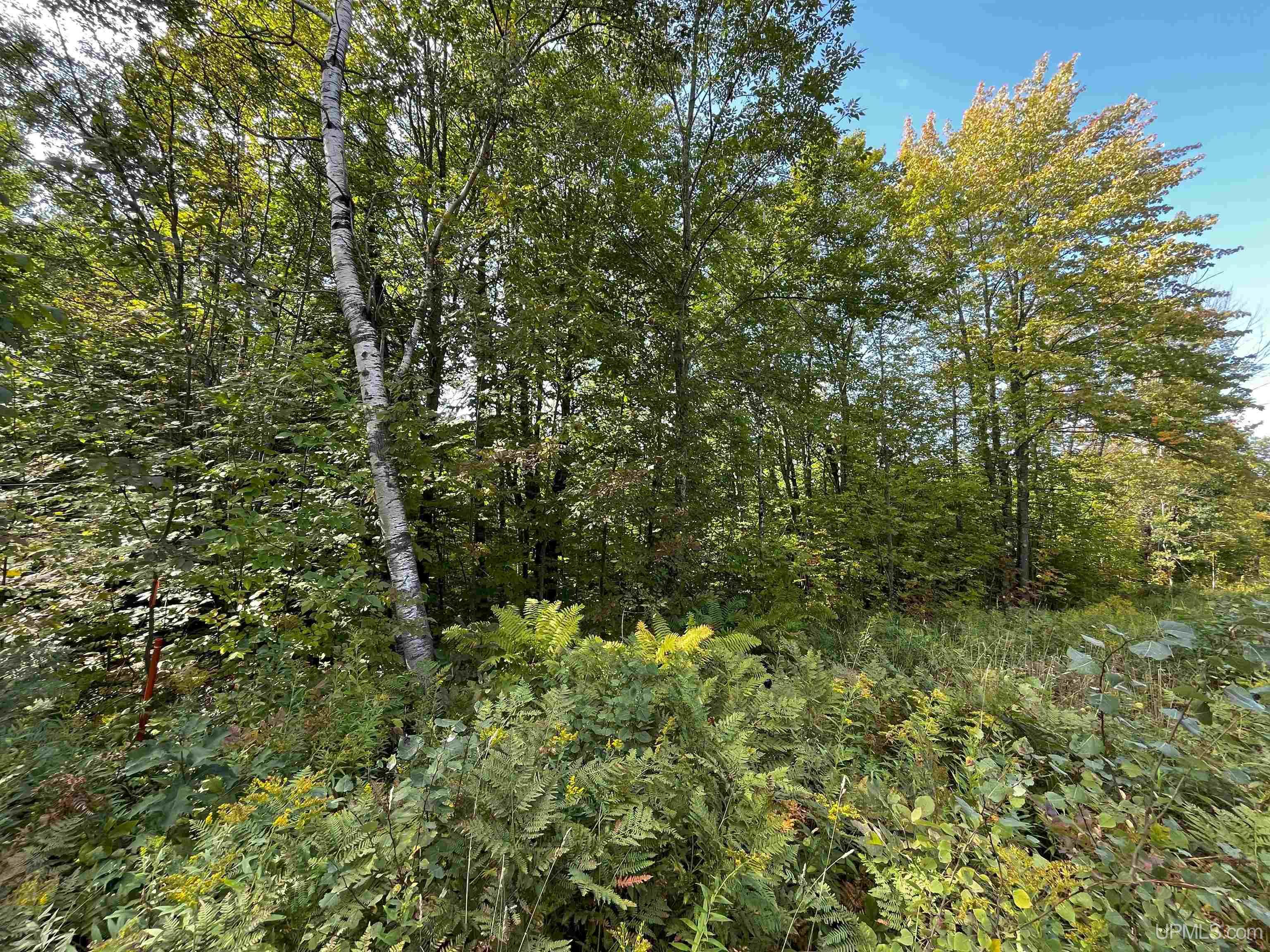 42587 Old Rink Road Toivola, MI 49965 - Photo 9 of 16 Gallery Image 9