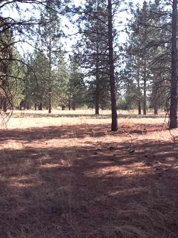 21000 North Myrtle Road Colbert, WA 99005 - Photo 5 of 6