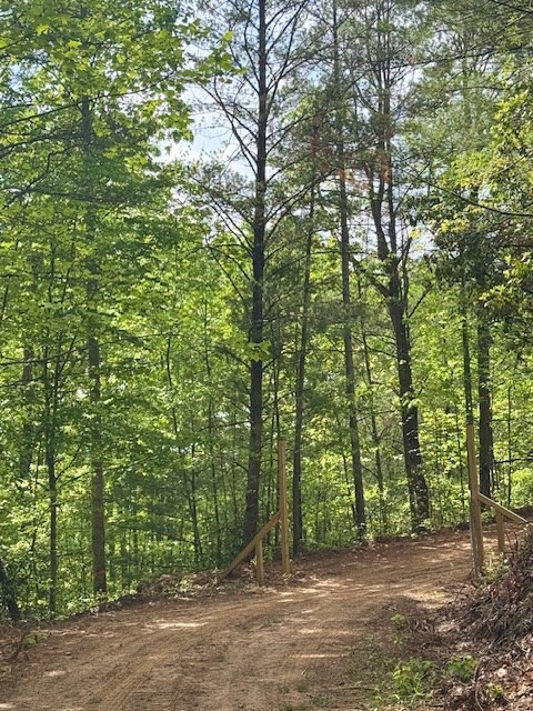 0 Tyler Lane Marble, NC 28905 - Photo 4 of 31