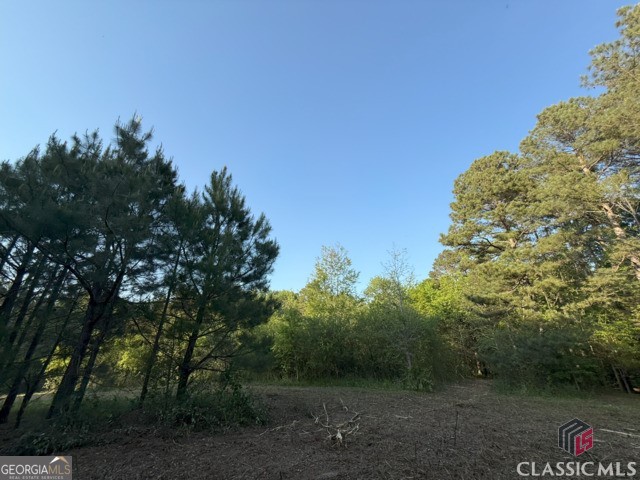 0 Moore Road Elberton, GA 30635 - Photo 58 of 67