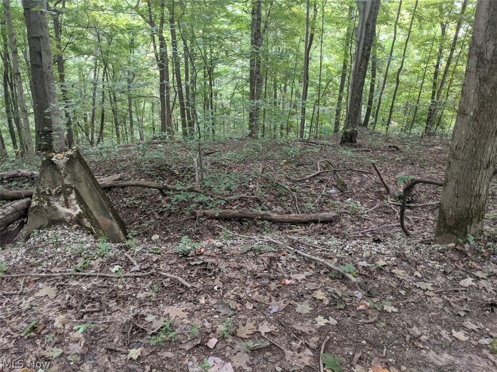 11 County Road Petroleum, WV 26161 - Photo 2 of 11
