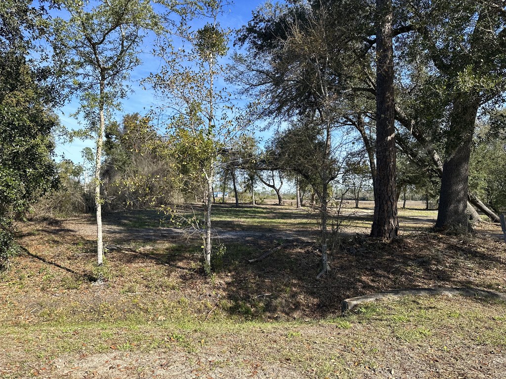 0 Floating Bridge Road Port St. Joe, FL 32456 - Photo 5 of 13 Gallery Image 5