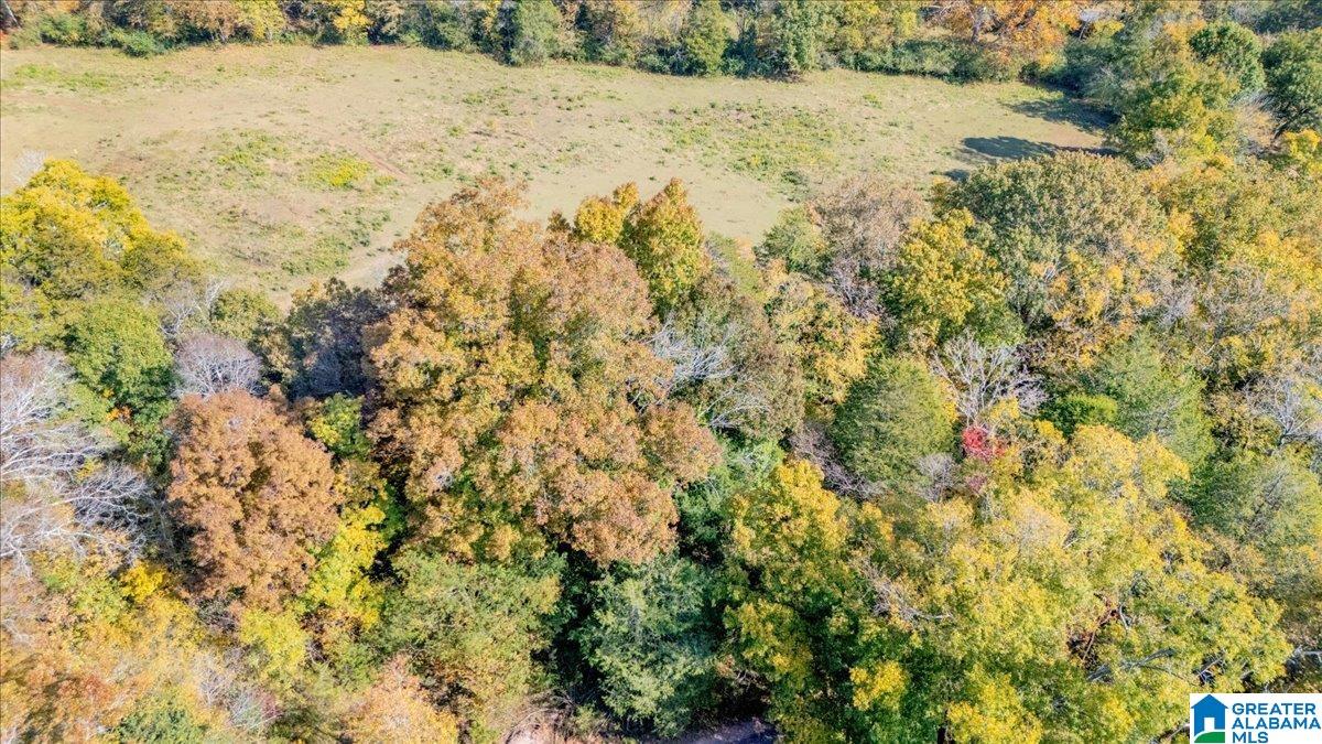 1215 Red Valley Road Remlap, AL 35133 - Photo 42 of 43