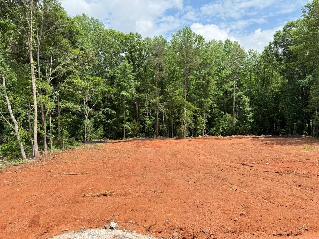 453 State Rd S-42-1879 Chesnee, SC 29323 - Photo 10 of 11