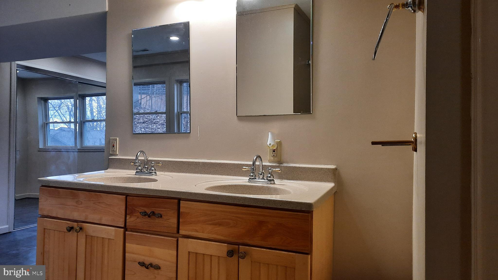 461 Chipmunk Trail Lane Linden, VA 22642 - Photo 17 of 26 a bathroom with a sink and a mirror