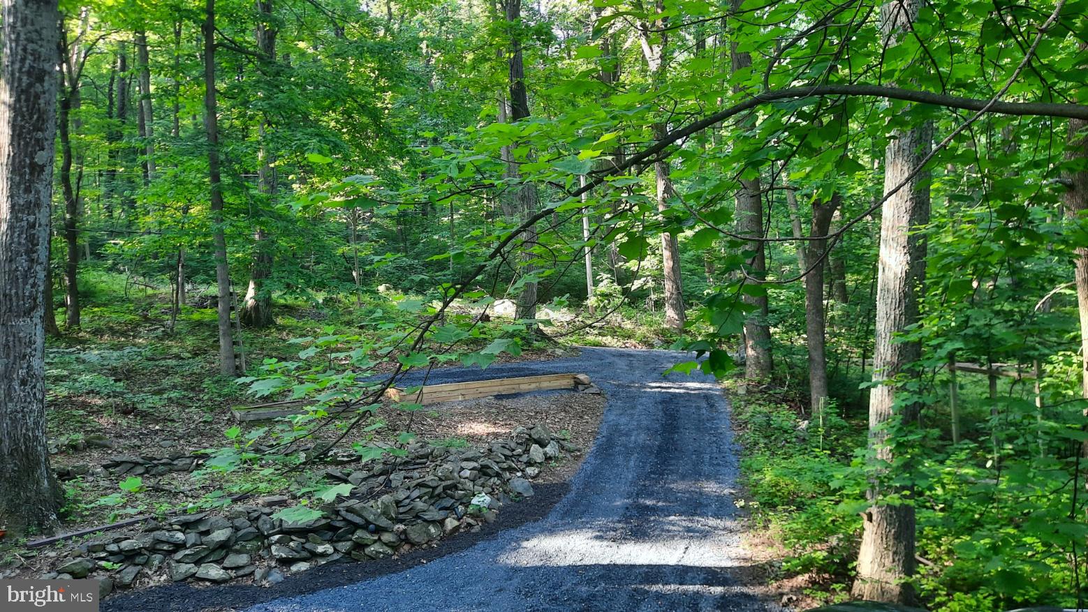 461 Chipmunk Trail Lane Linden, VA 22642 - Photo 23 of 26 a view of a garden with plants