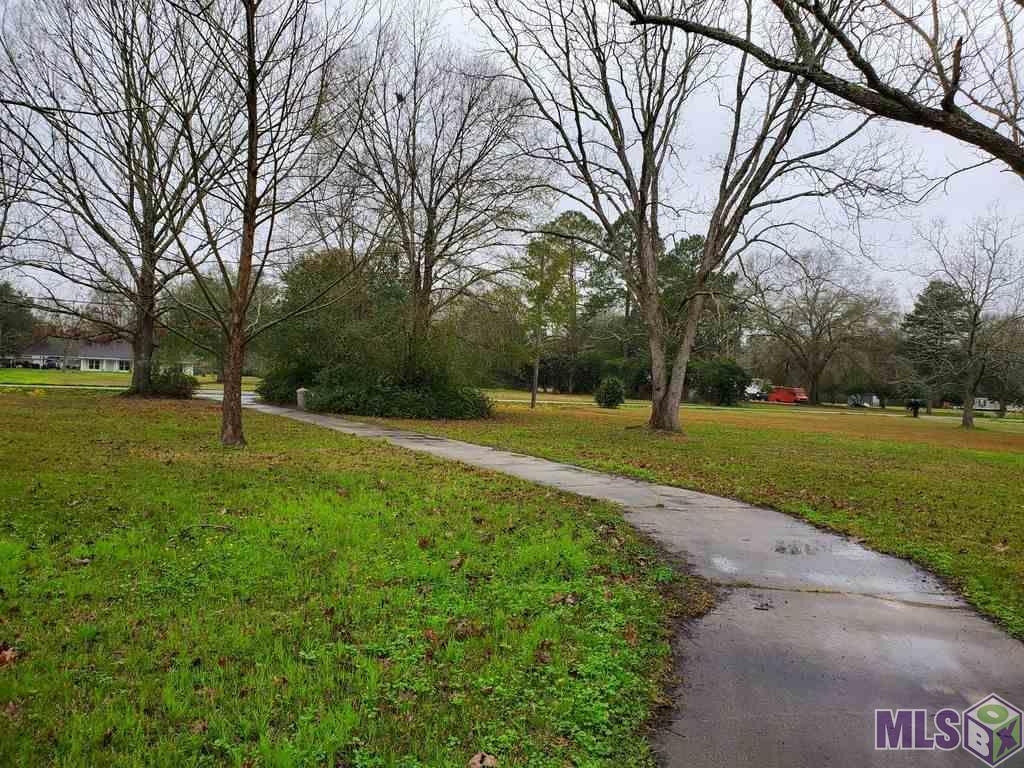 18486 Blythe Road Prairieville, LA 70769 - Photo 4 of 5