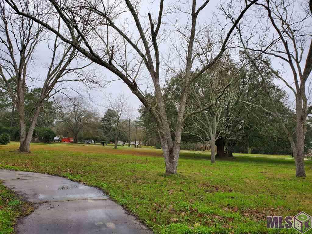 18486 Blythe Road Prairieville, LA 70769 - Photo 5 of 5