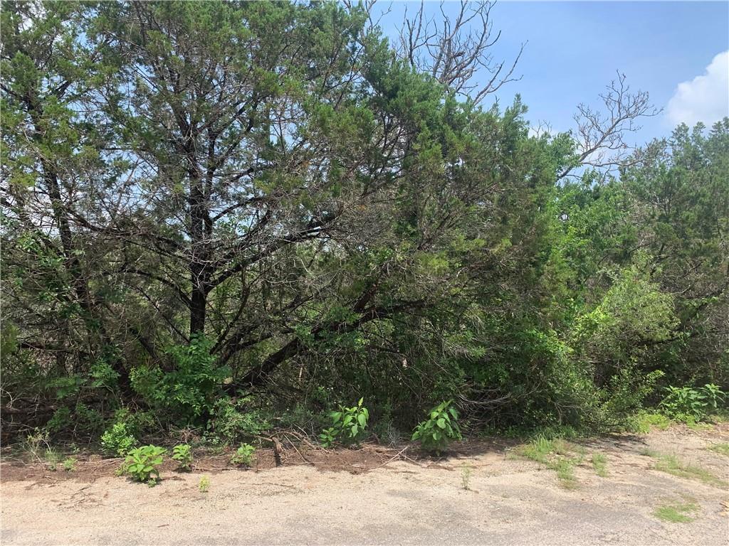 20608 Tejas Trail Leander, TX 78645 - Photo 2 of 3 View of undeveloped land