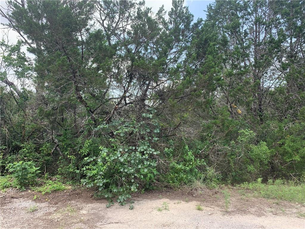 20608 Tejas Trail Leander, TX 78645 - Photo 3 of 3 View of wooded area