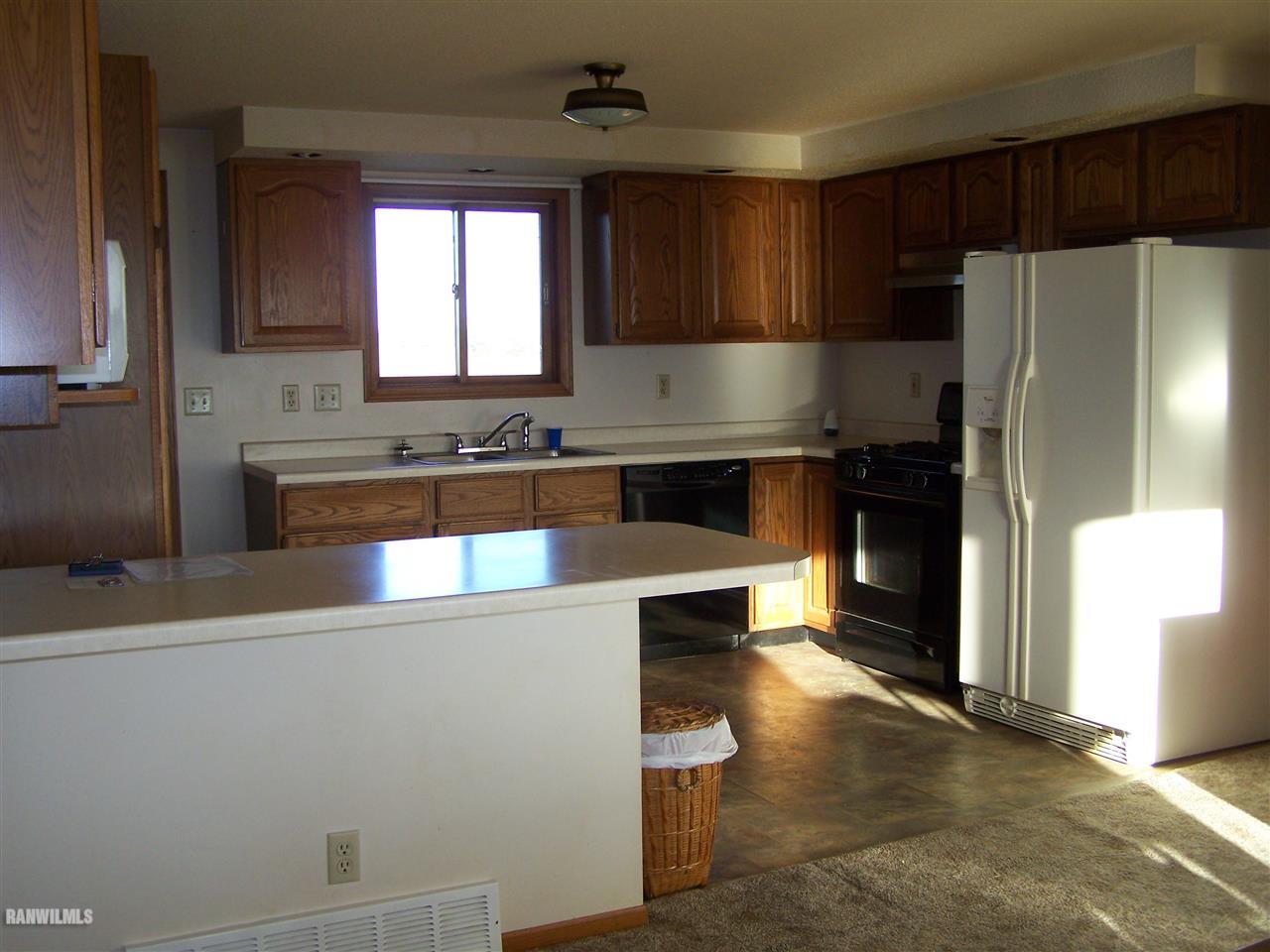 9833 Becker Road Savanna, IL 61074 - Photo 8 of 25 a kitchen with a refrigerator and a sink