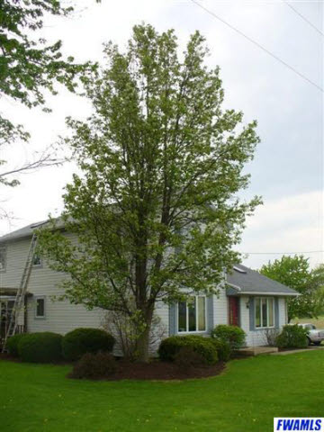 16901 State Rte 101 Grabill, IN 46741 - Photo 19 of 20