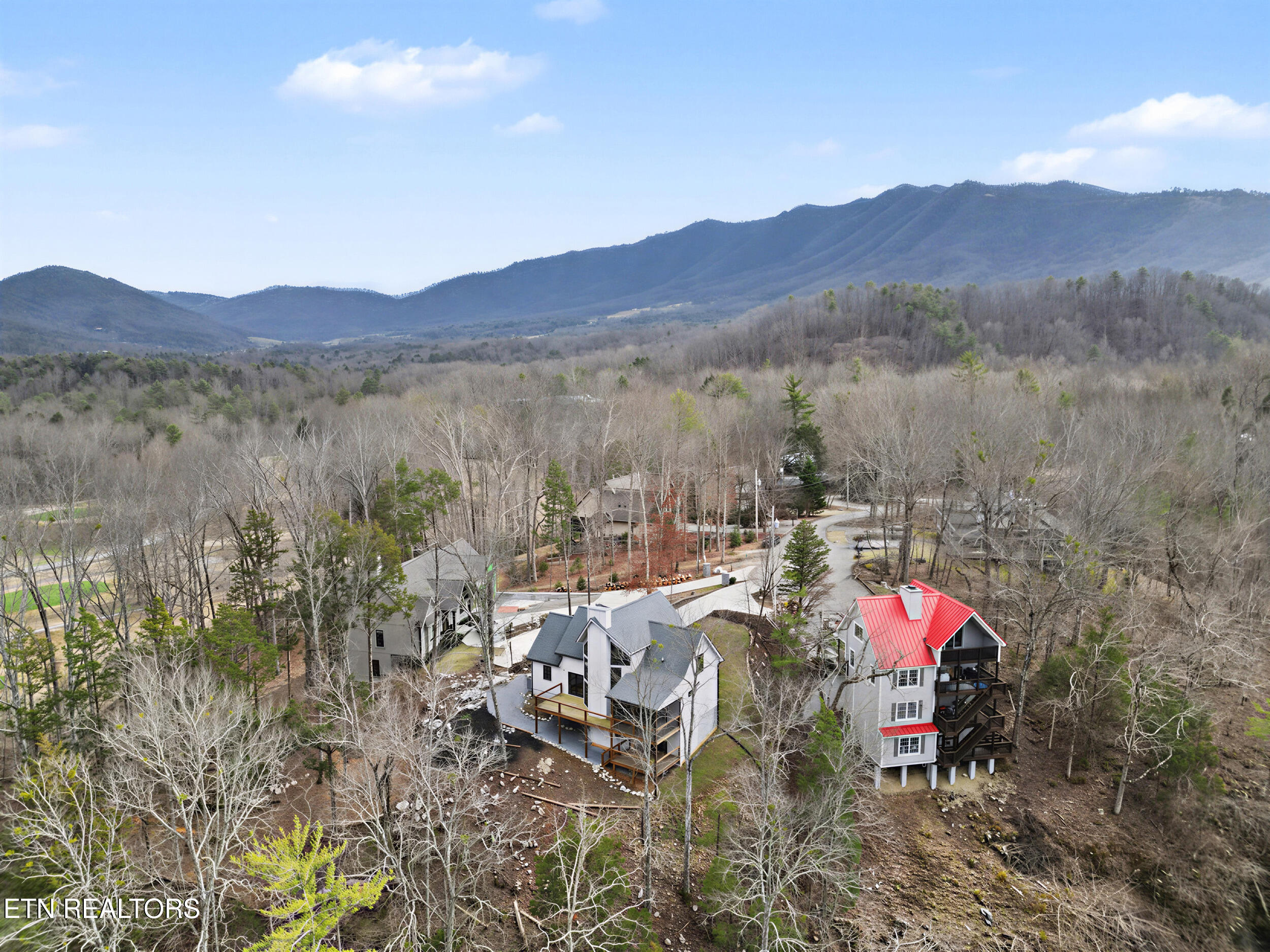 134 Fairway Circle Townsend, TN 37882 - Photo 42 of 48 42_7